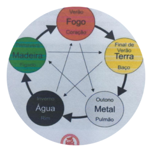 Gráfico dos 5 elementos da natureza na medicina chinesa