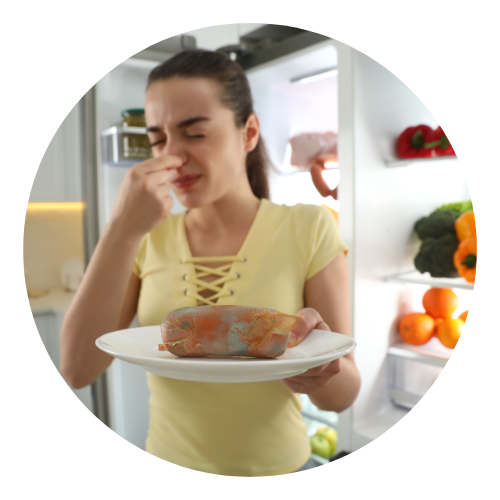 Evite prejuízos ao estragar produtos na geladeira devido à falta de energia.