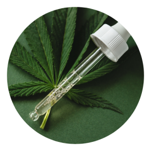 Folha de cannabidiol com pipeta conta-gotas em cima dela. 