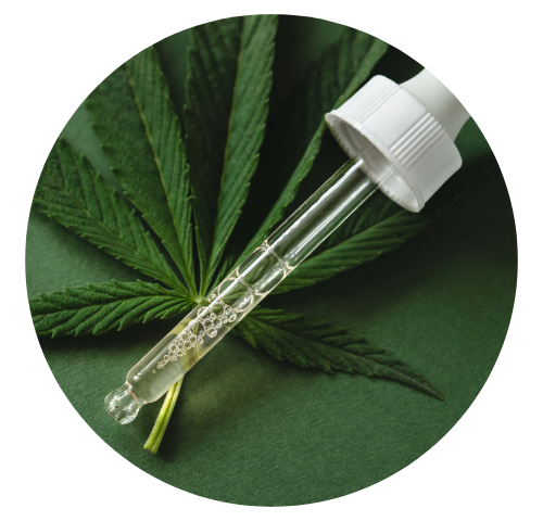 Folha de cannabidiol com pipeta conta-gotas em cima dela.