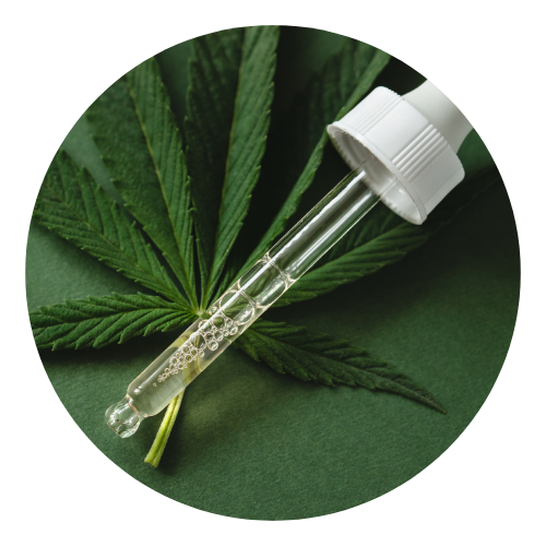 Folha de cannabidiol com pipeta conta-gotas em cima dela.